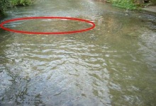 Faciès caractéristique des zones de frayère