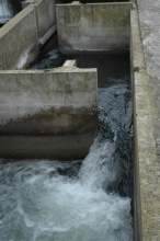 Conformité génie civil,Conformité des écoulements,Sélectivité passe à poissons